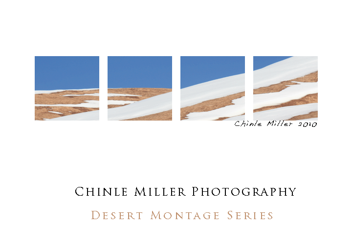 desertmontage4web